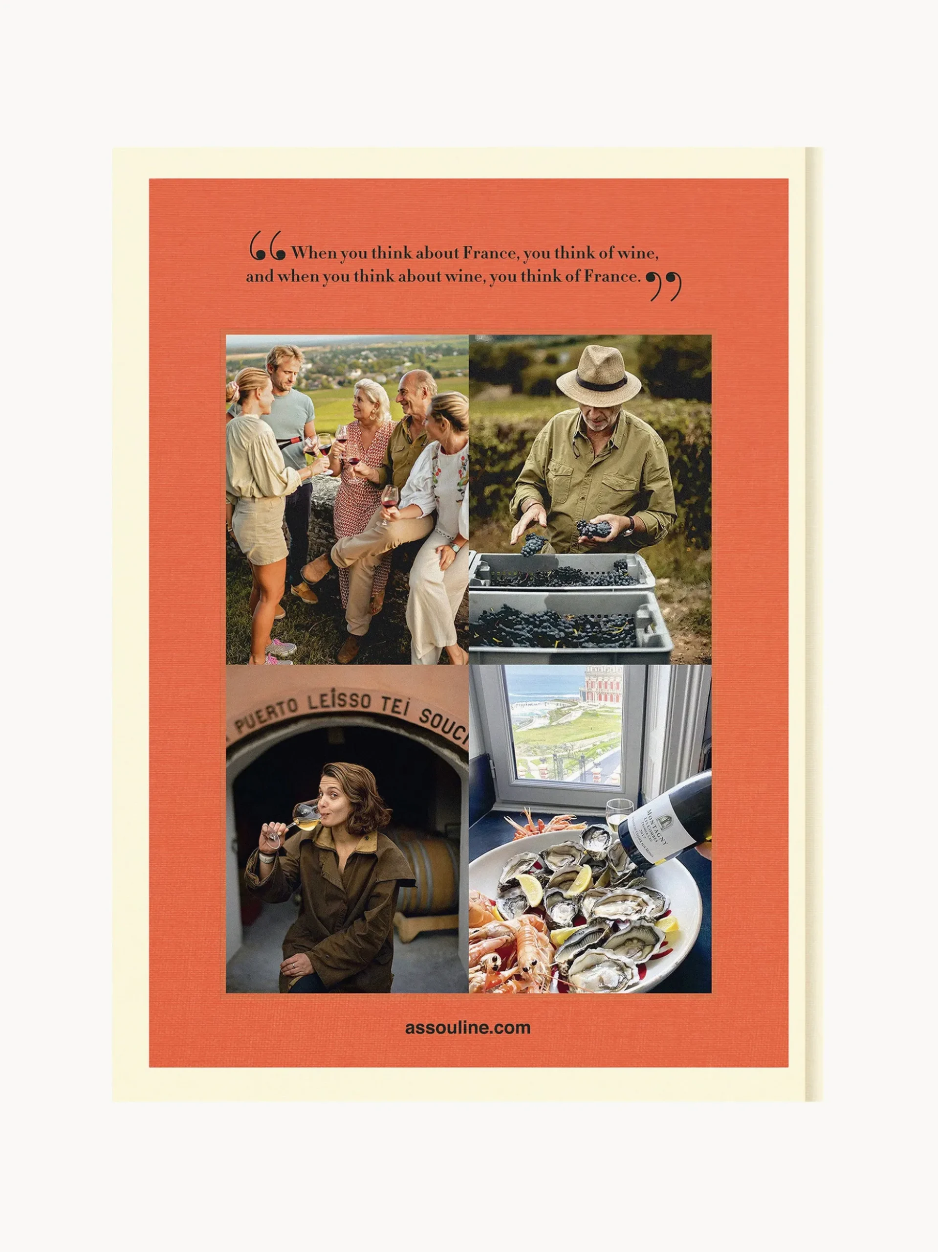 Libro da tavolino Wine & Travel: France