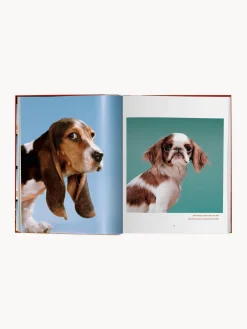 Libro illustrato Dogs. Photographs 1941–1991