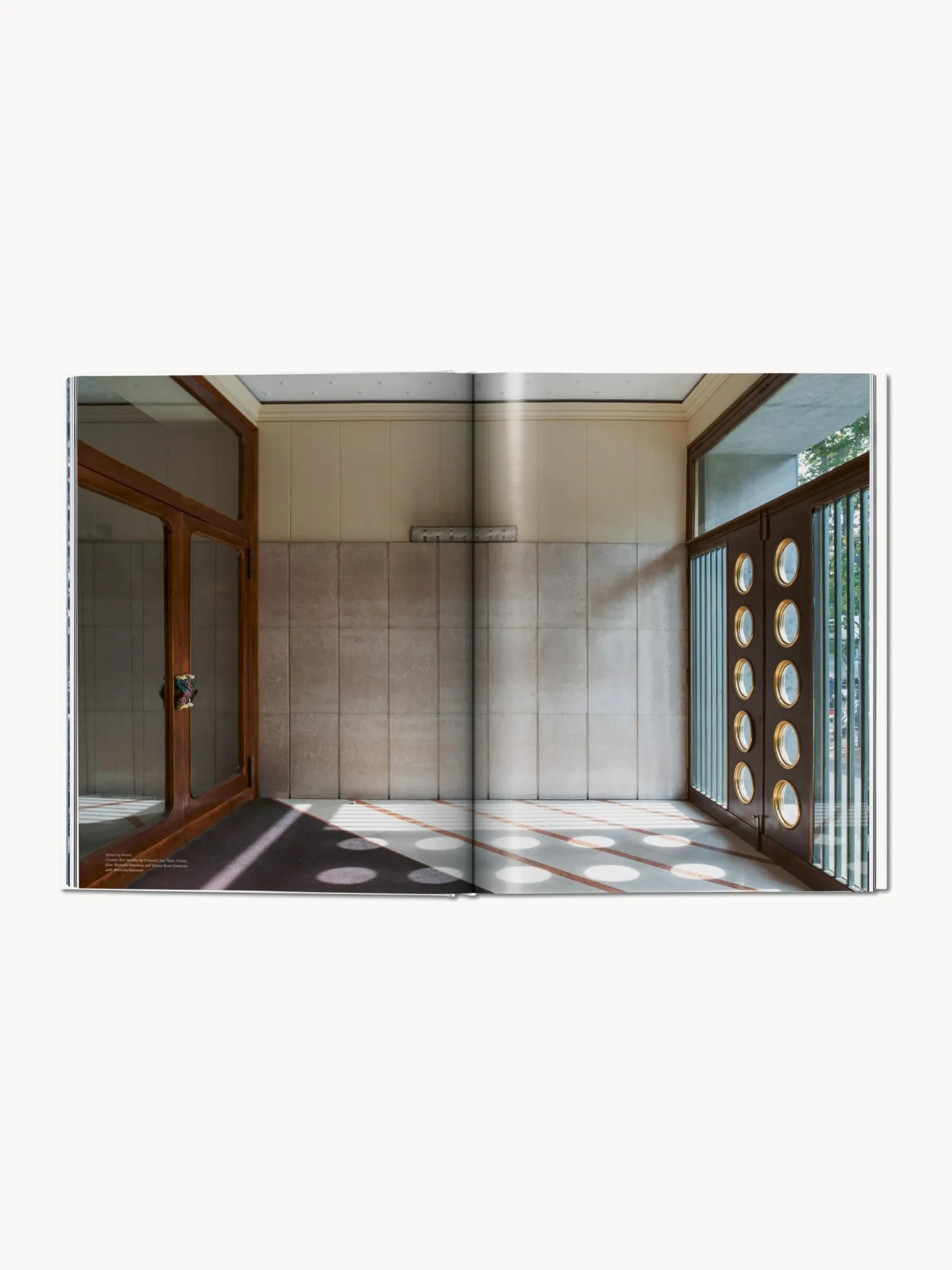 Libro illustrato Entryways of Milan