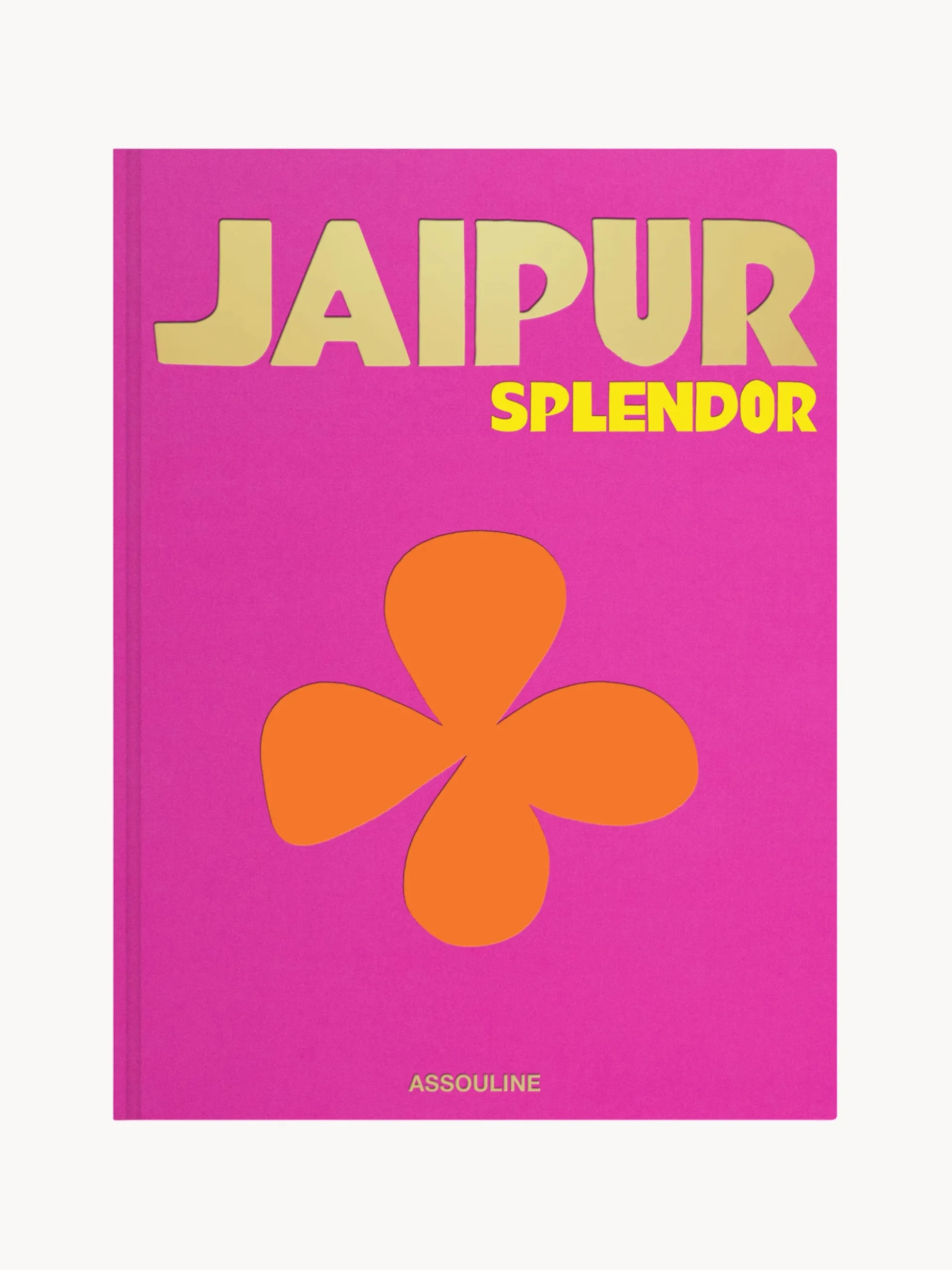 Libro illustrato Jaipur Splendor