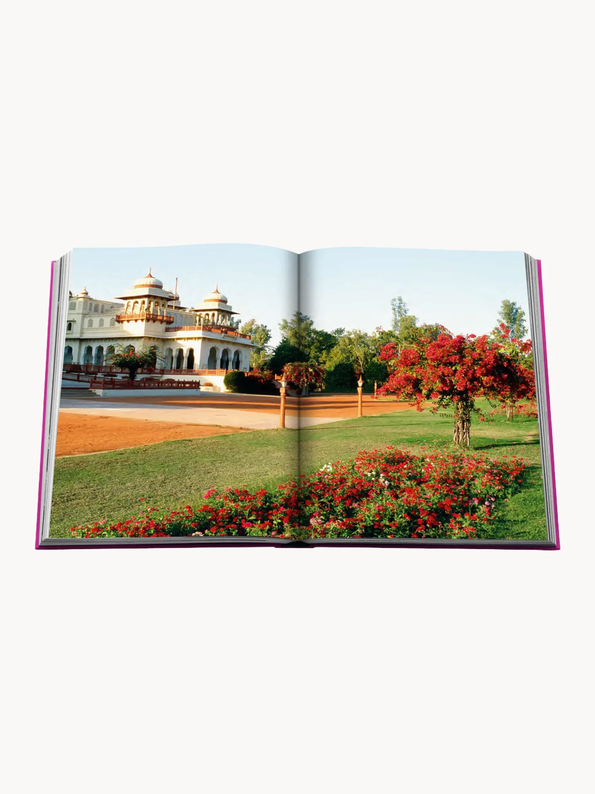 Libro illustrato Jaipur Splendor