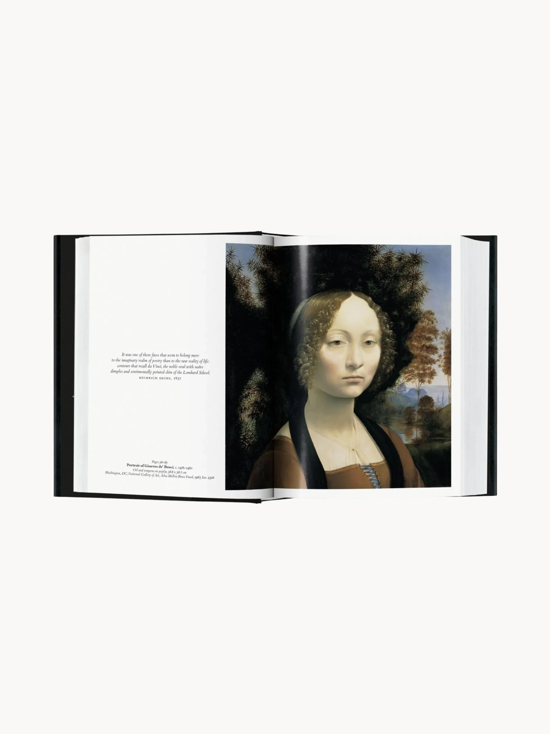 Libro illustrato Leonardo da Vinci: 1452-1519