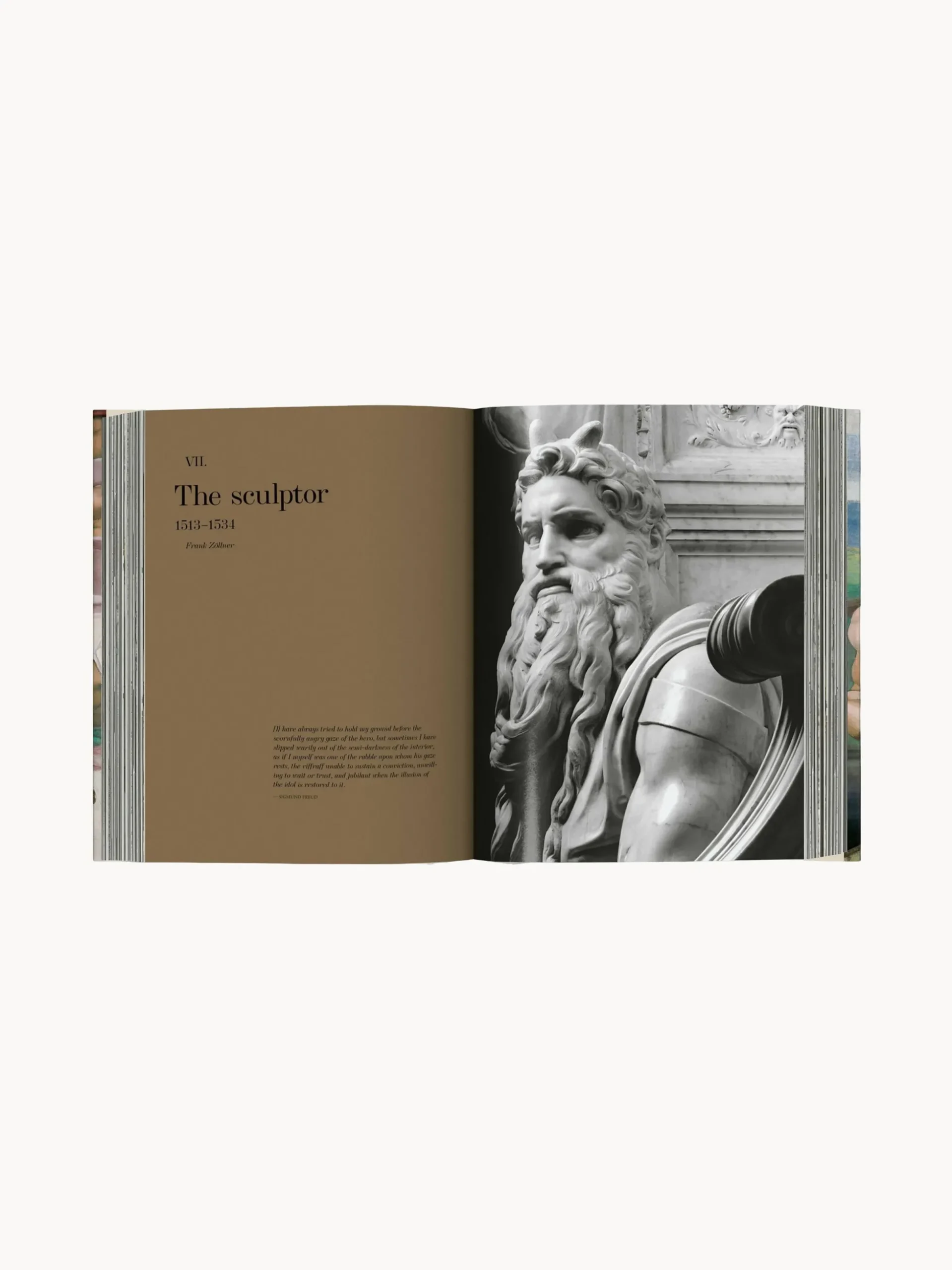 Libro illustrato Michelangelo. Complete Works