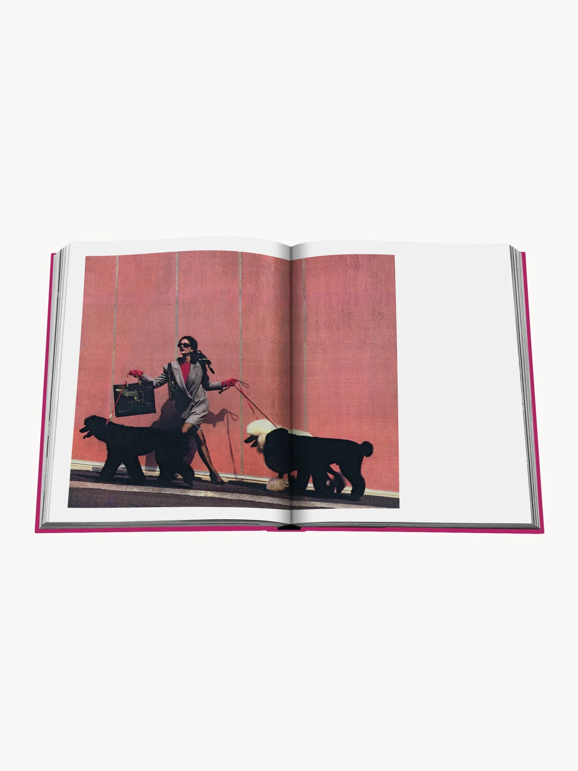 Libro da tavolino Chic Dogs