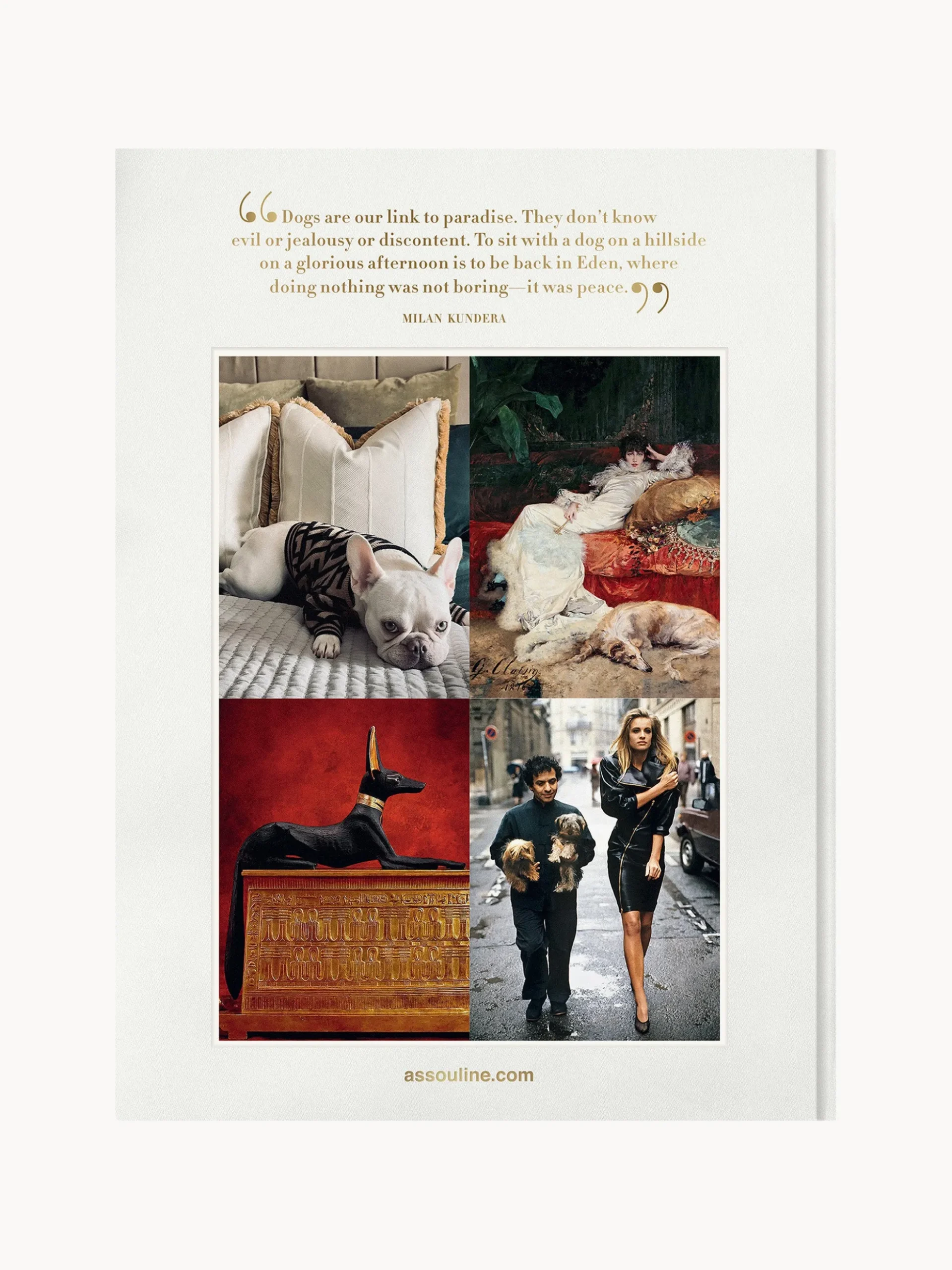 Libro da tavolino Chic Dogs