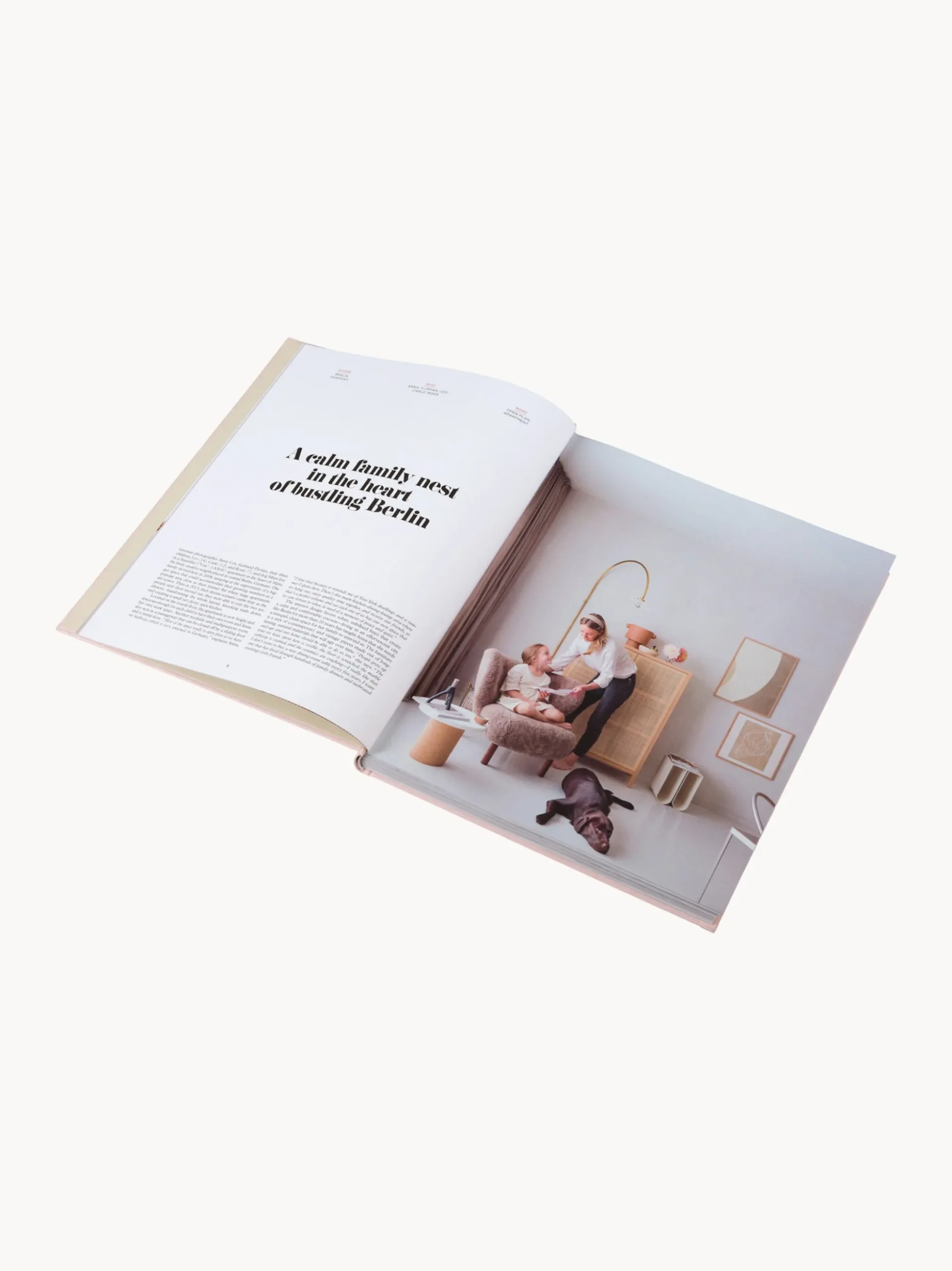 Libro da tavolino Inspiring Family Homes
