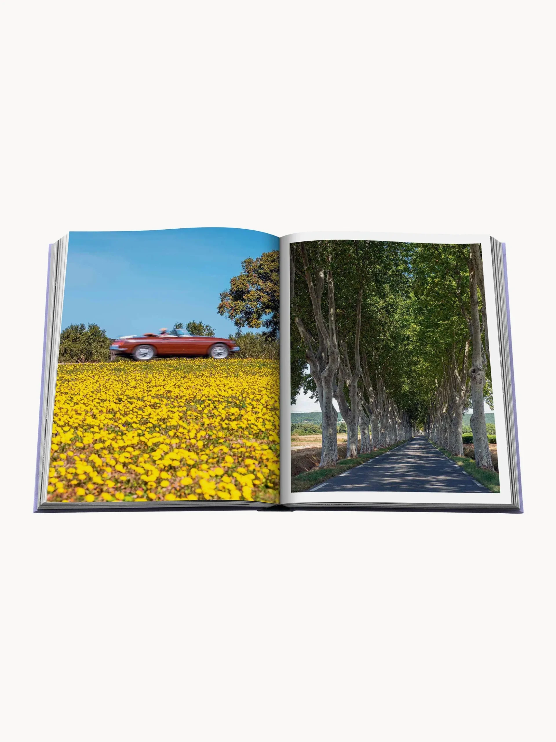 Libro da tavolino Provence Glory