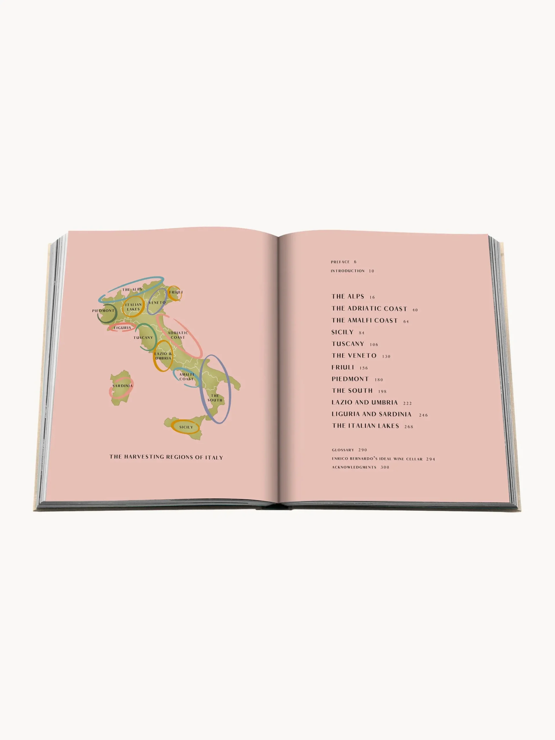 Libro da tavolino Wine & Travel: Italy