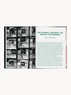 Libro illustrato Cats. Photographs 1942–2018