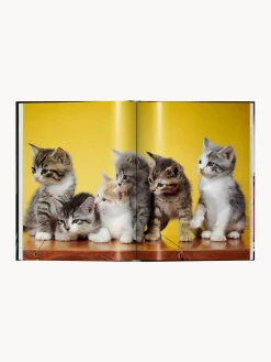Libro illustrato Cats. Photographs 1942–2018