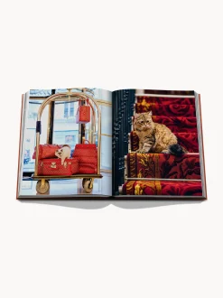 Libro illustrato Chic Cats