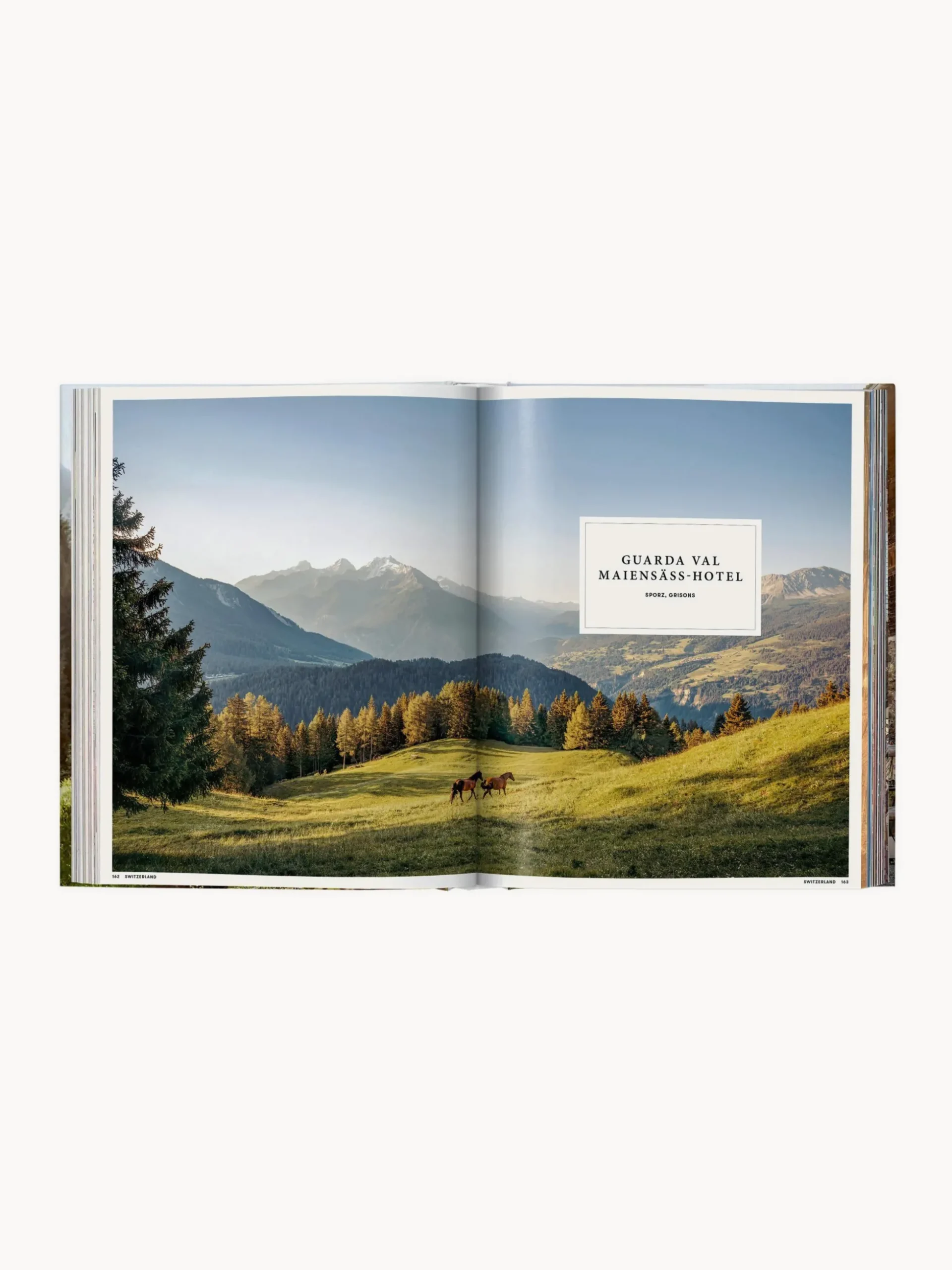 Libro illustrato Great Escapes Alps