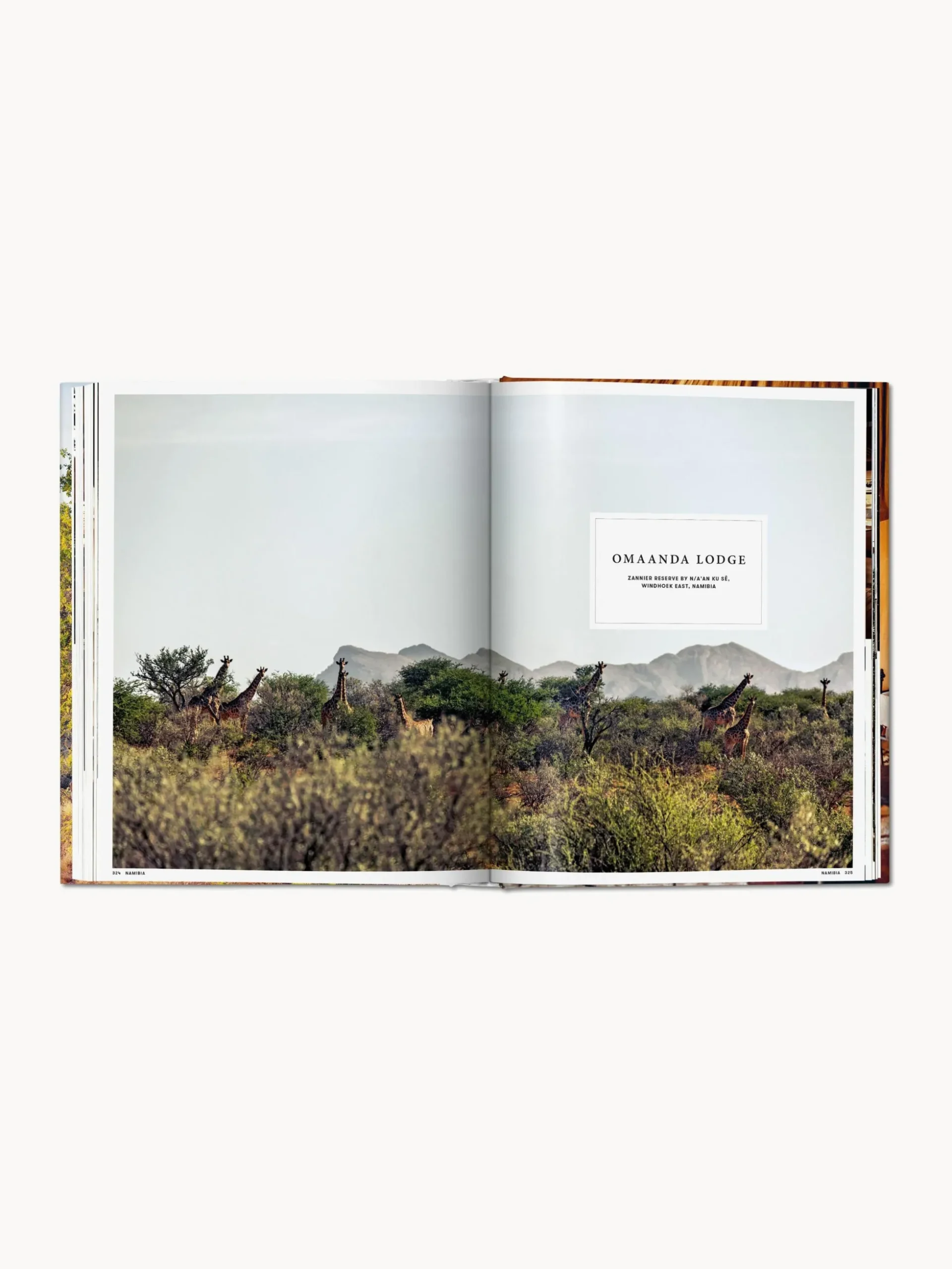 Libro illustrato Great Escapes Africa