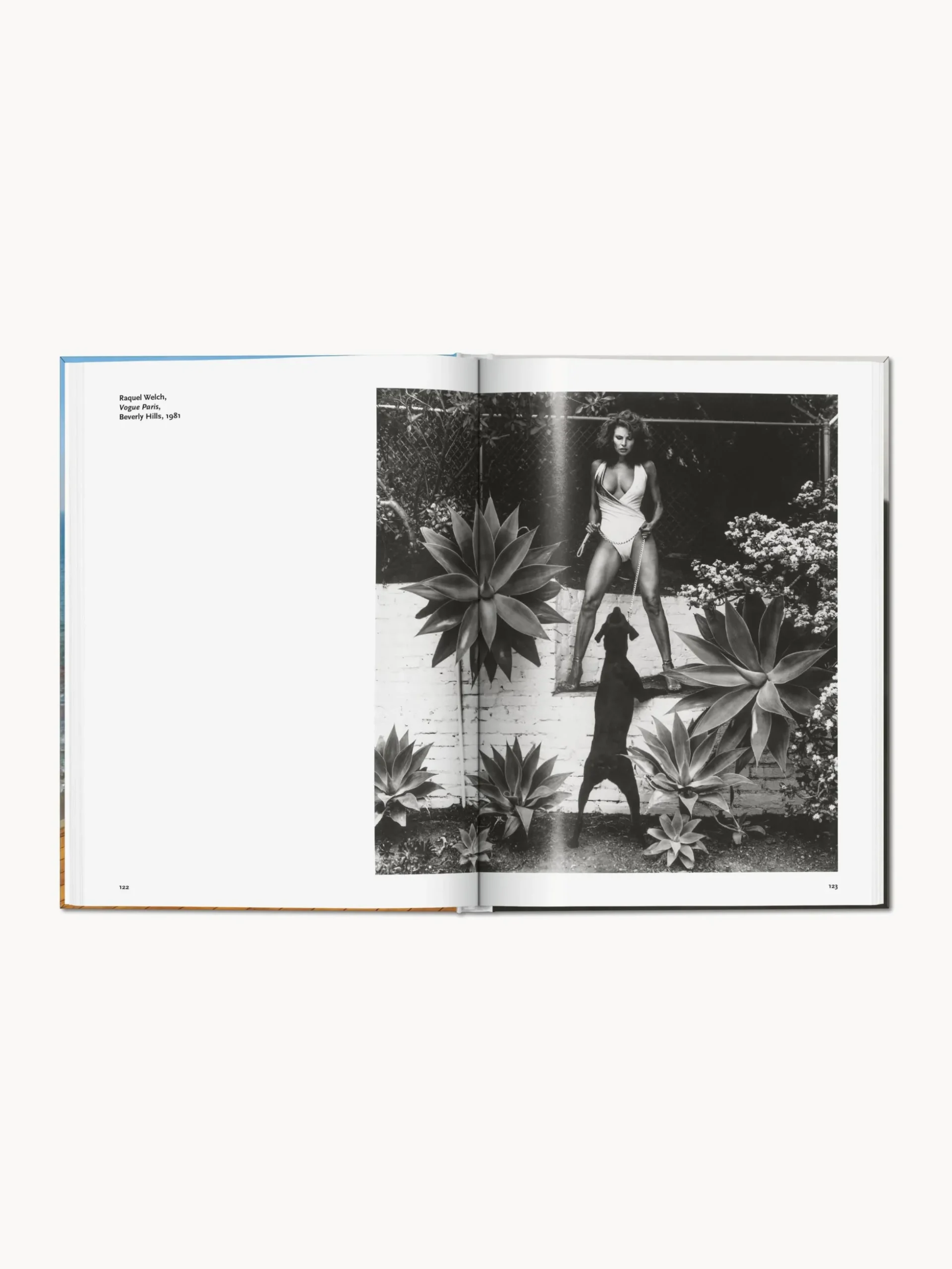 Libro illustrato Helmut Newton