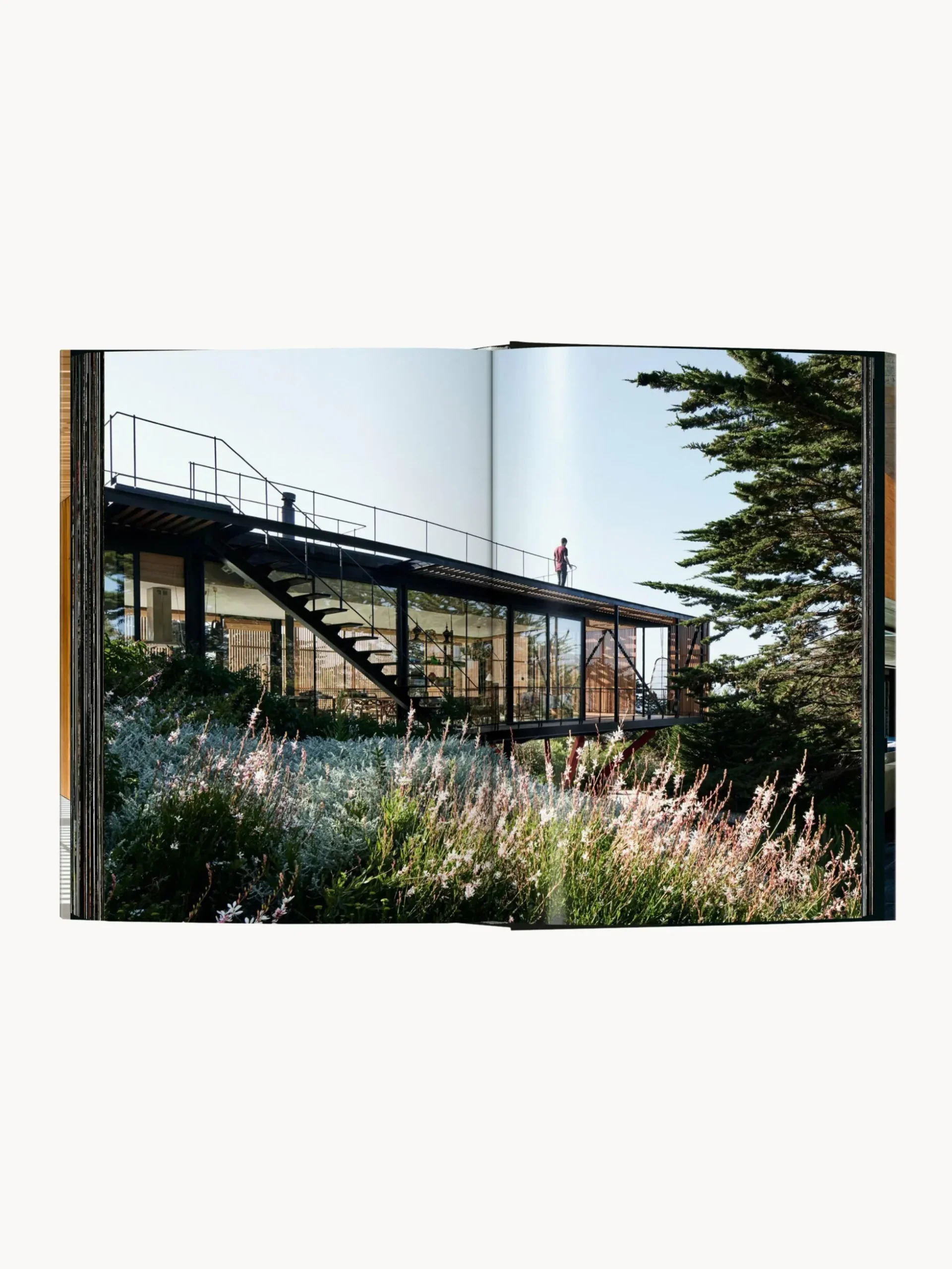 Libro illustrato Homes for our Time Vol. 2