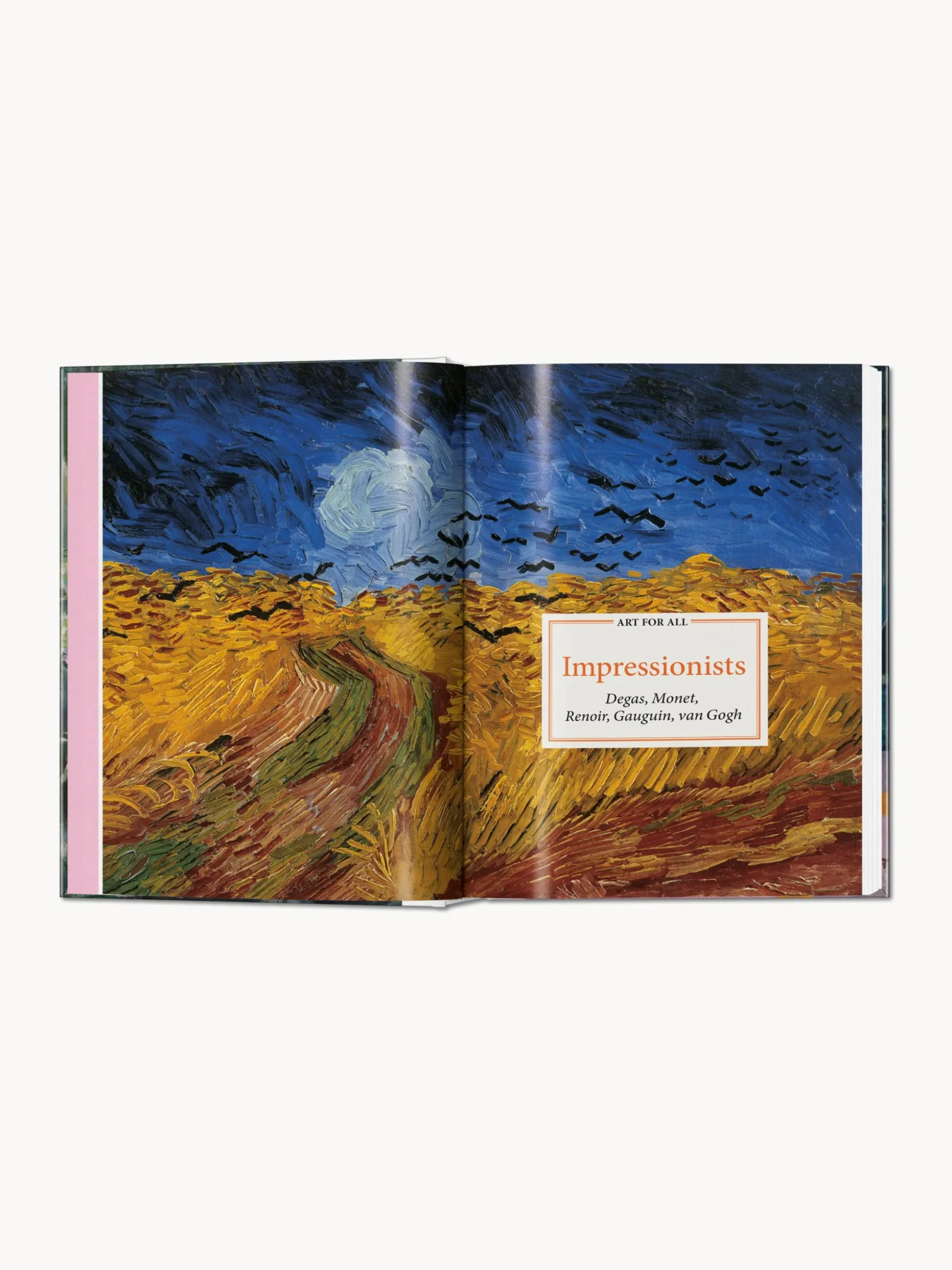 Libro illustrato Impressionists