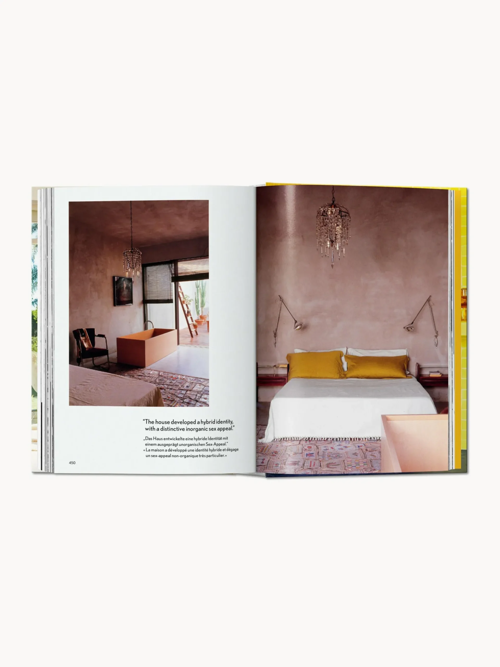 Libro illustrato Interiors Now!