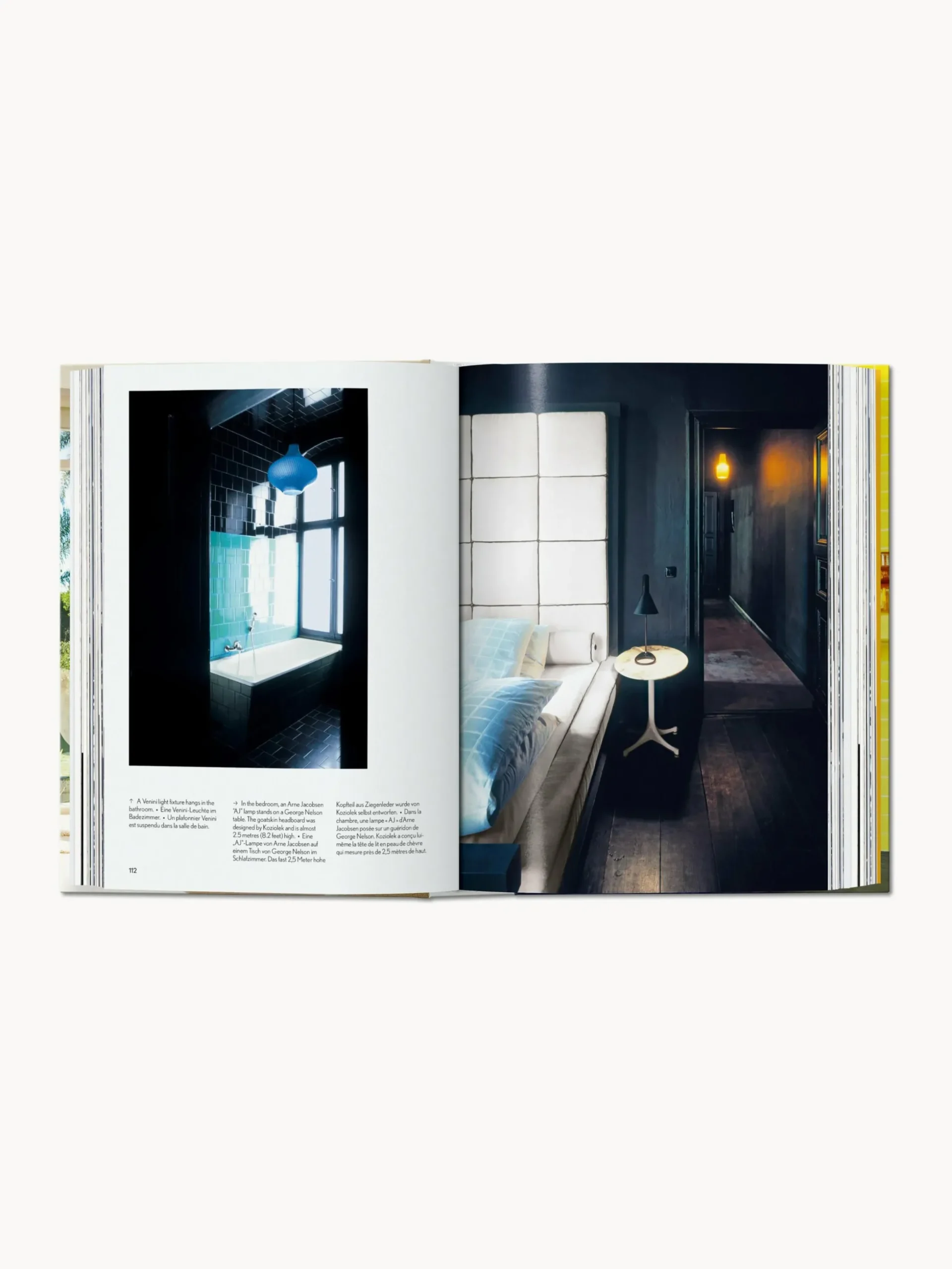 Libro illustrato Interiors Now!