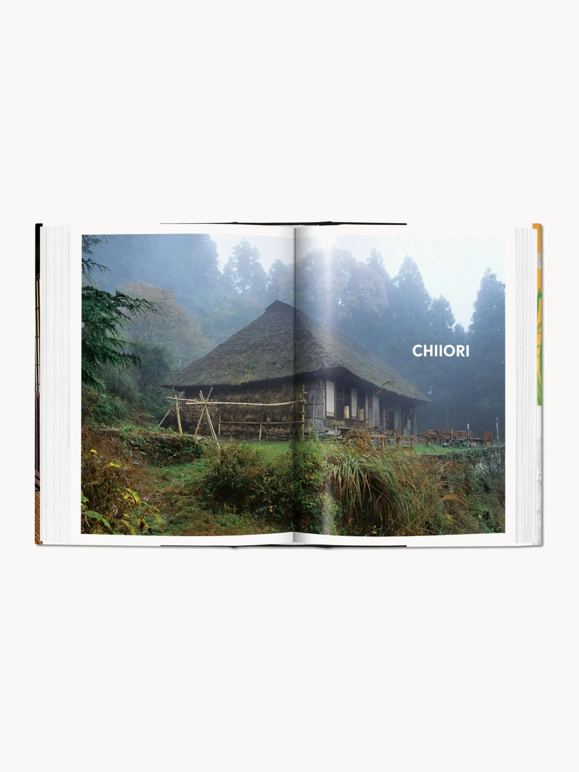 Libro illustrato: Living in Japan. 45th Ed.