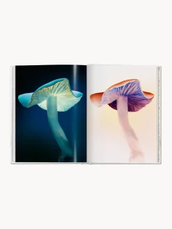 Libro illustrato The Gourmand Mushroom