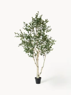 Pianta artificiale Birch Tree Green