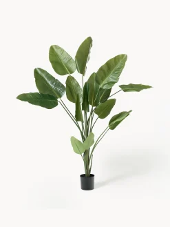 Pianta artificiale Traveller Palm