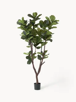 Pianta artificiale Fiddle Leaf Fig