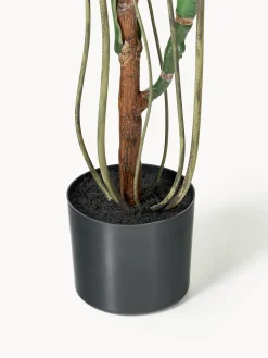 Pianta artificiale Monstera
