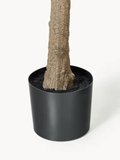 Pianta artificiale Olive Tree