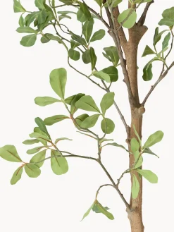Pianta artificiale Tropical Almond