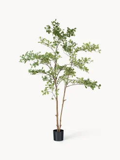 Pianta artificiale Tropical Almond