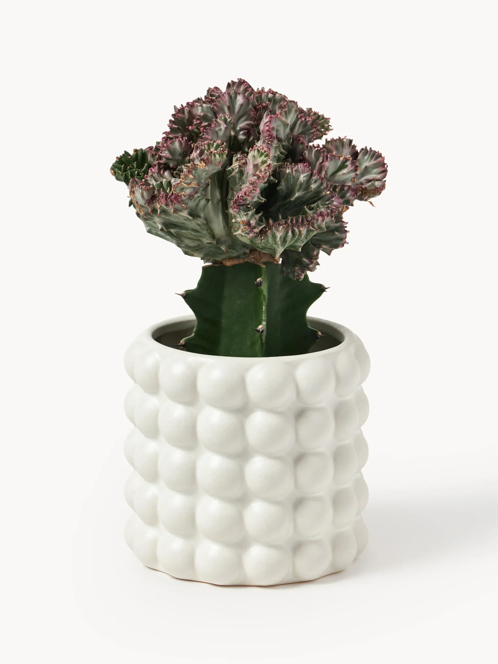 Portavaso in gres Bob, alt. 15 cm