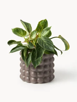 Portavaso in gres Bob, alt. 18 cm