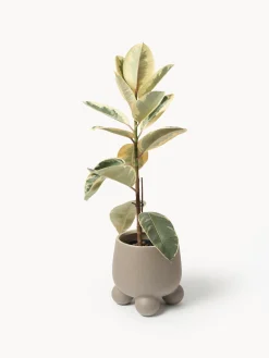 Portavaso Olea, alt. 26 cm