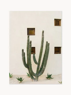 Poster Cabo Cactus IX
