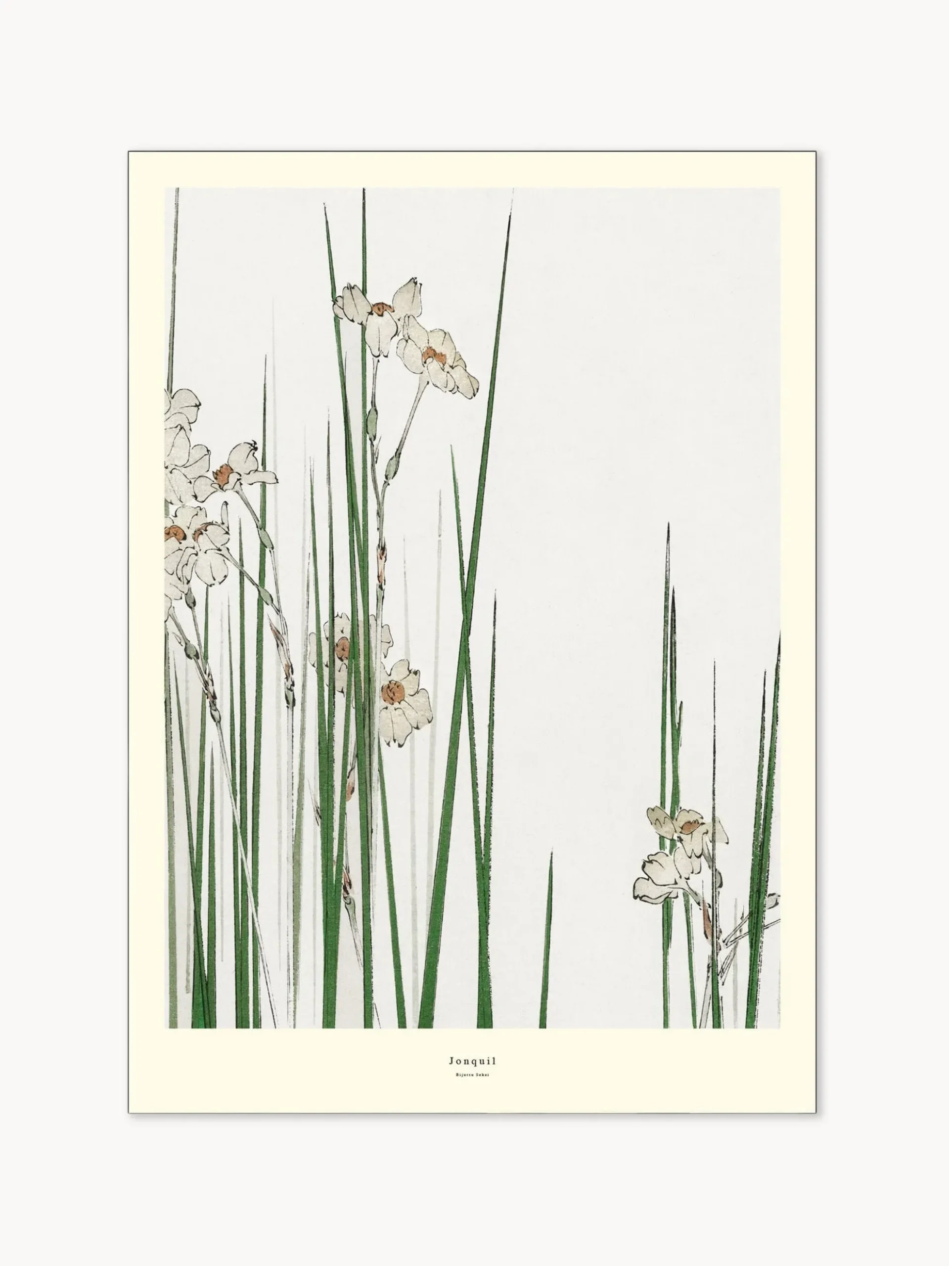 Poster Jonquil