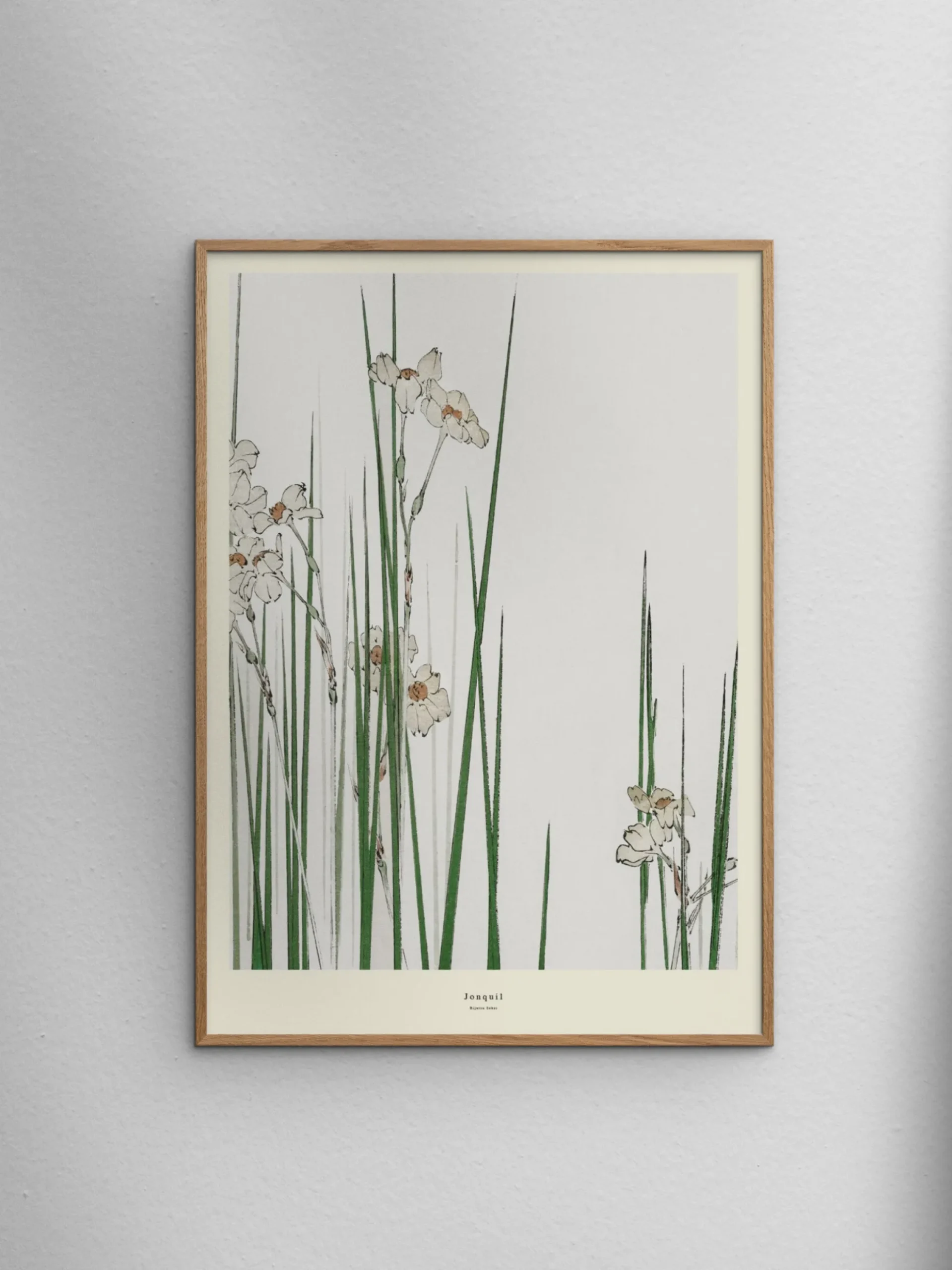 Poster Jonquil