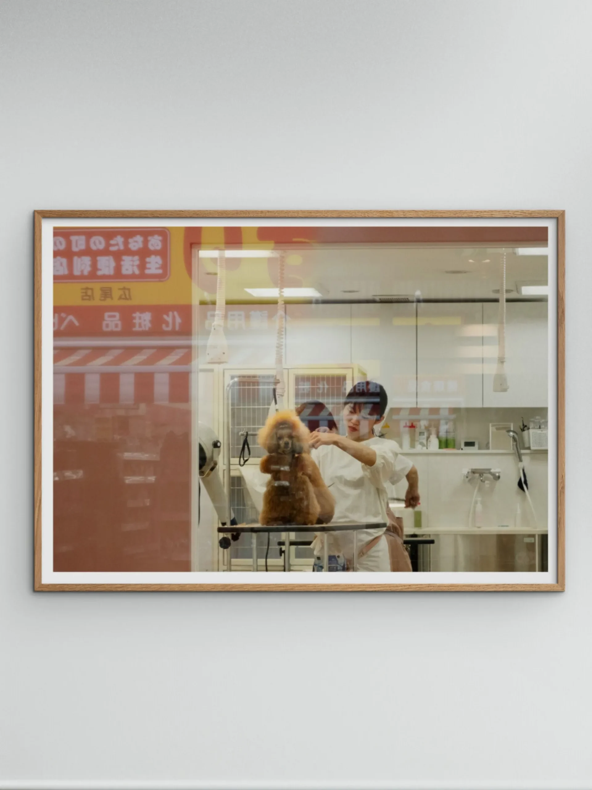 Poster Salon