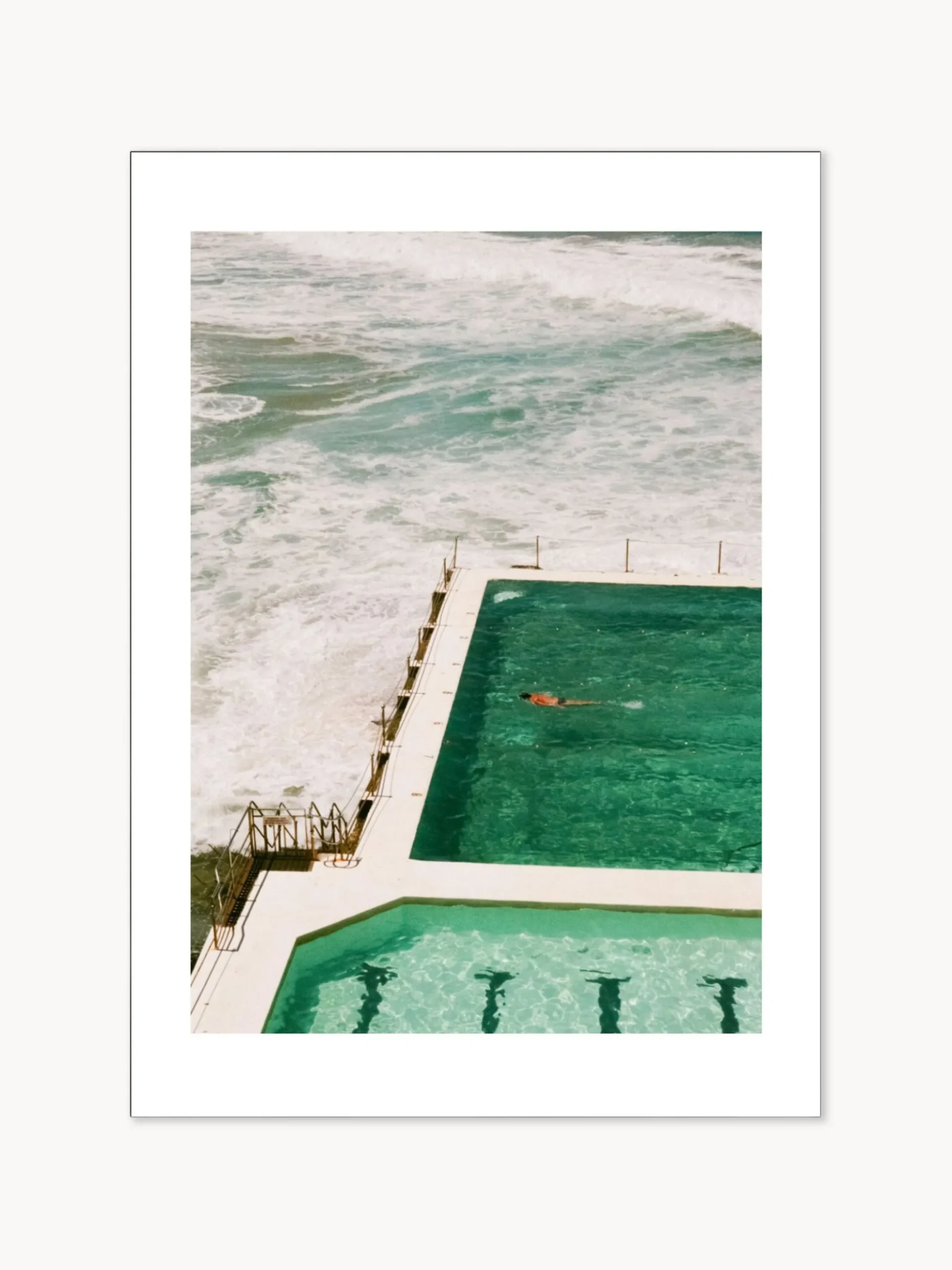 Poster Bondi Icebergs