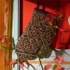 Presina Leopard