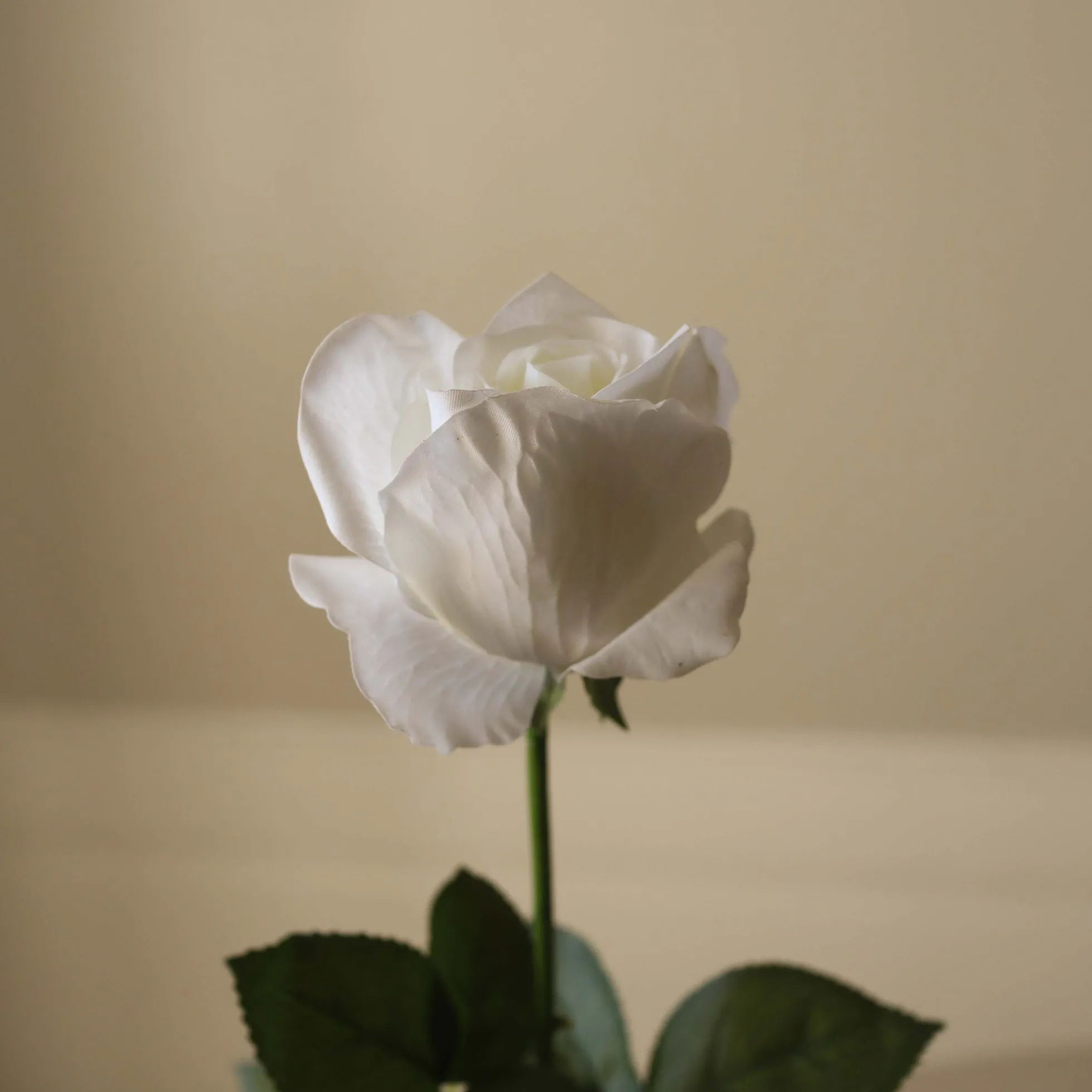 Rosa artificiale Premium Longstem Rose