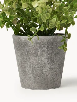 Set 3 piante artificiali in vaso Timothy