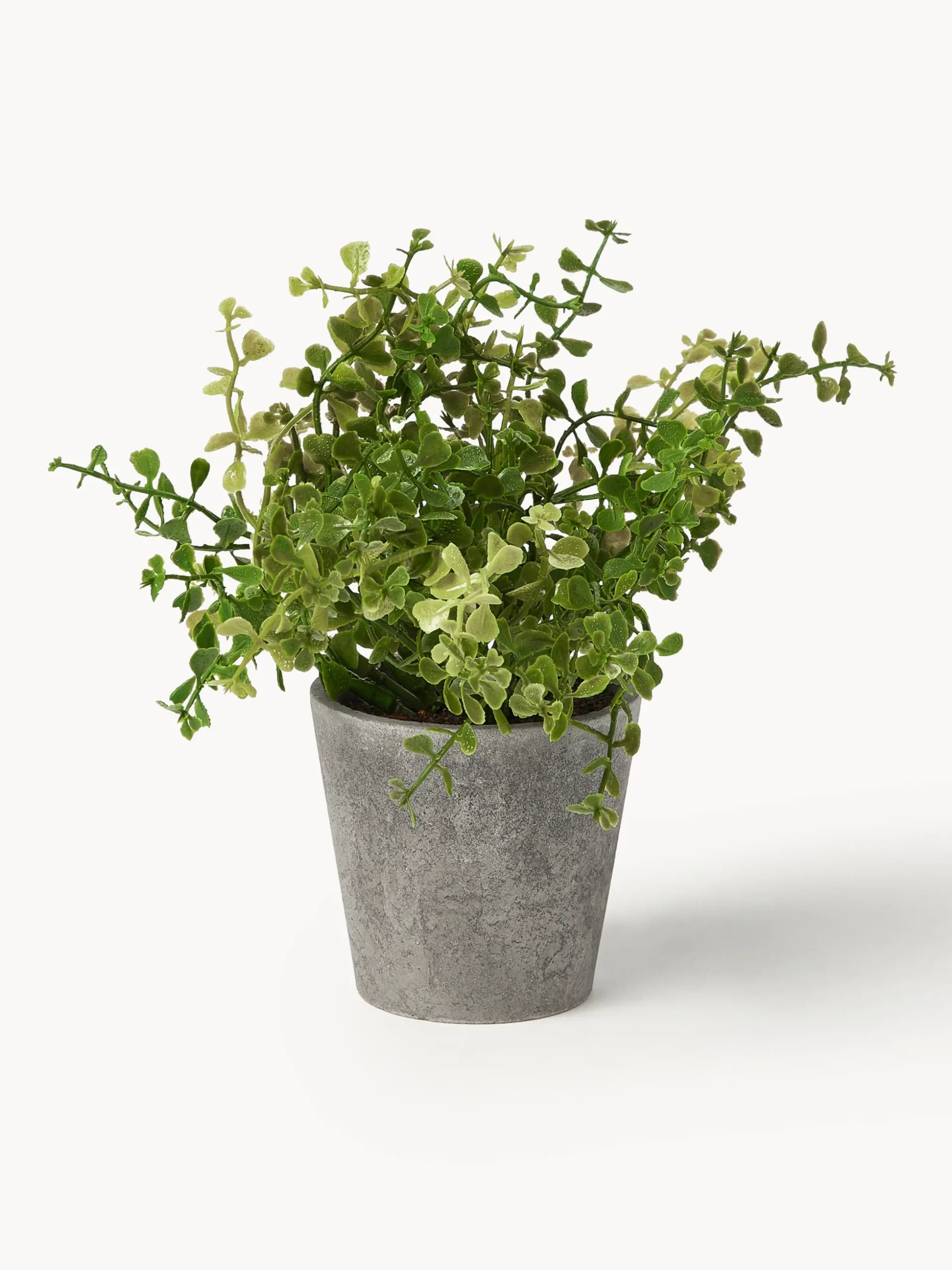 Set 3 piante artificiali in vaso Timothy
