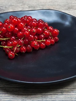 Set di 6 piatti da colazione Organic