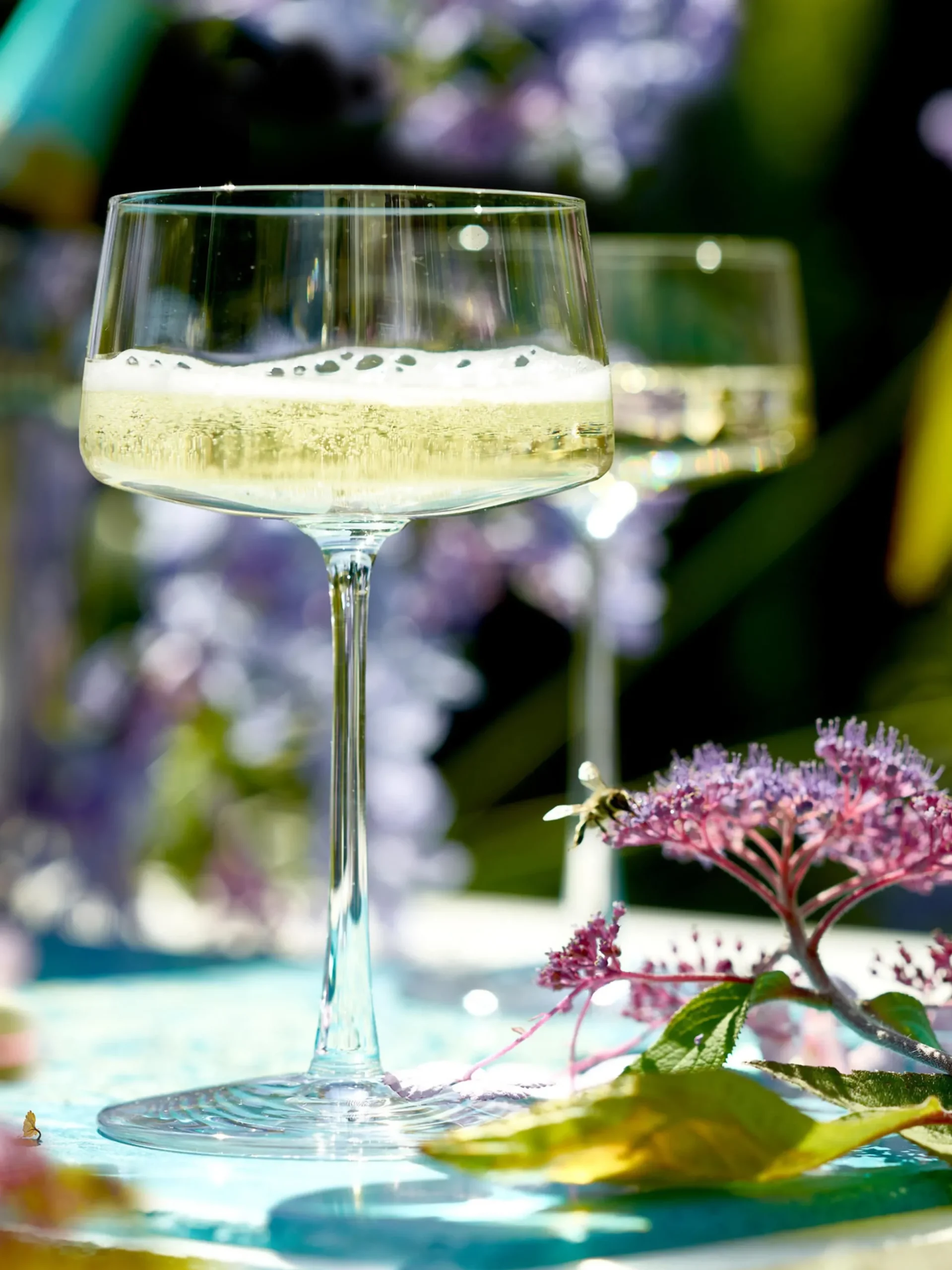 Set di 6 coppe da champagne in cristallo Power