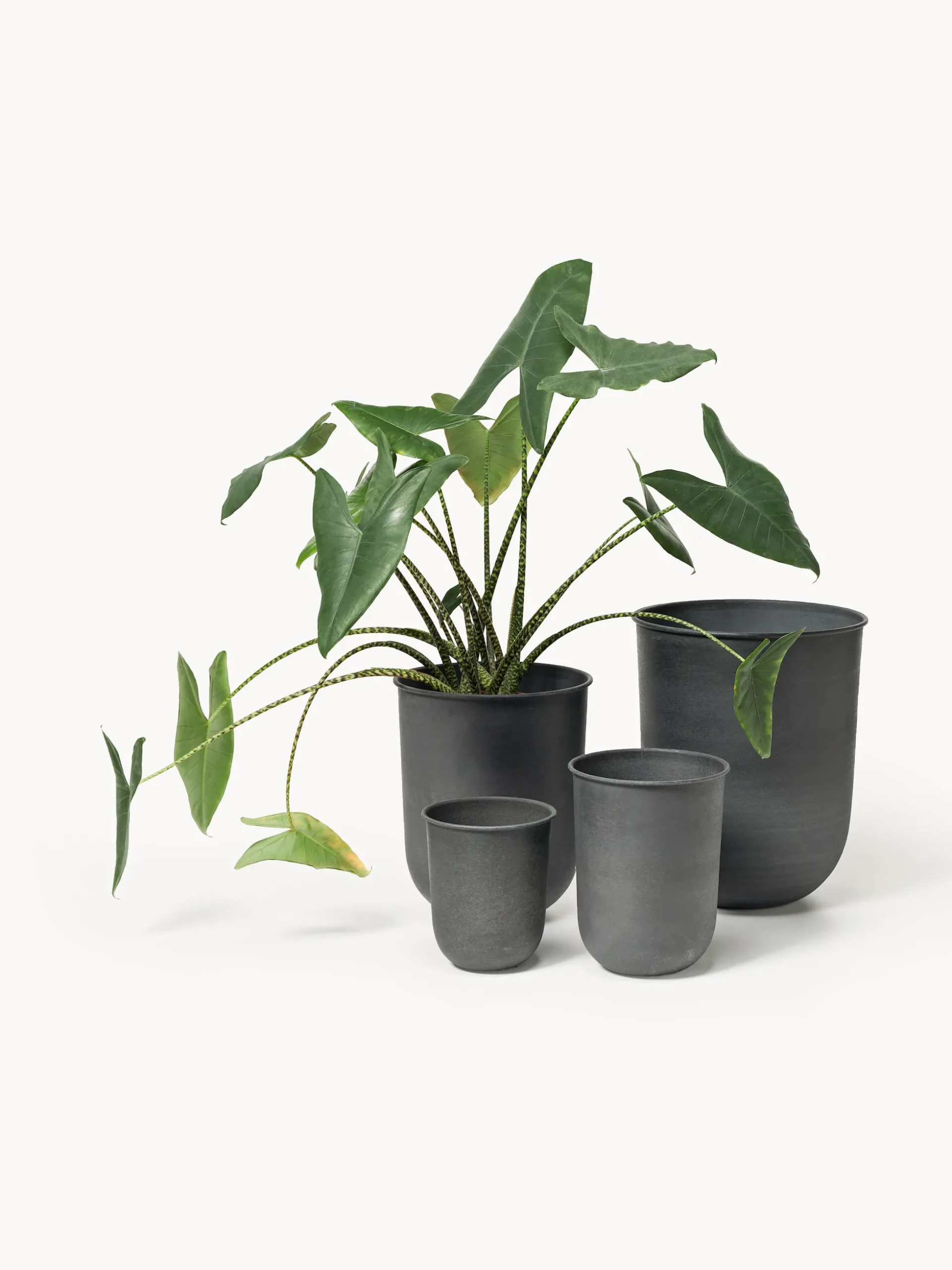 Set di 4 vasi per piante Out