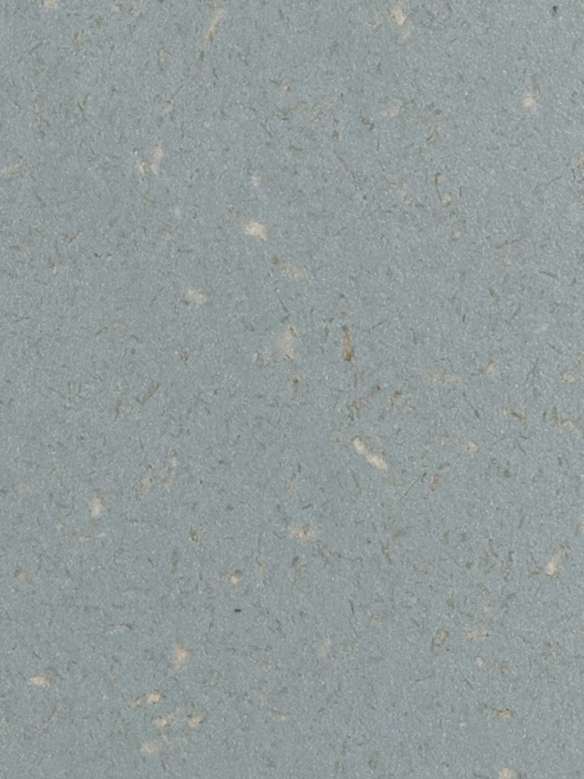 Set gasatore d'acqua con bottiglia Glassy