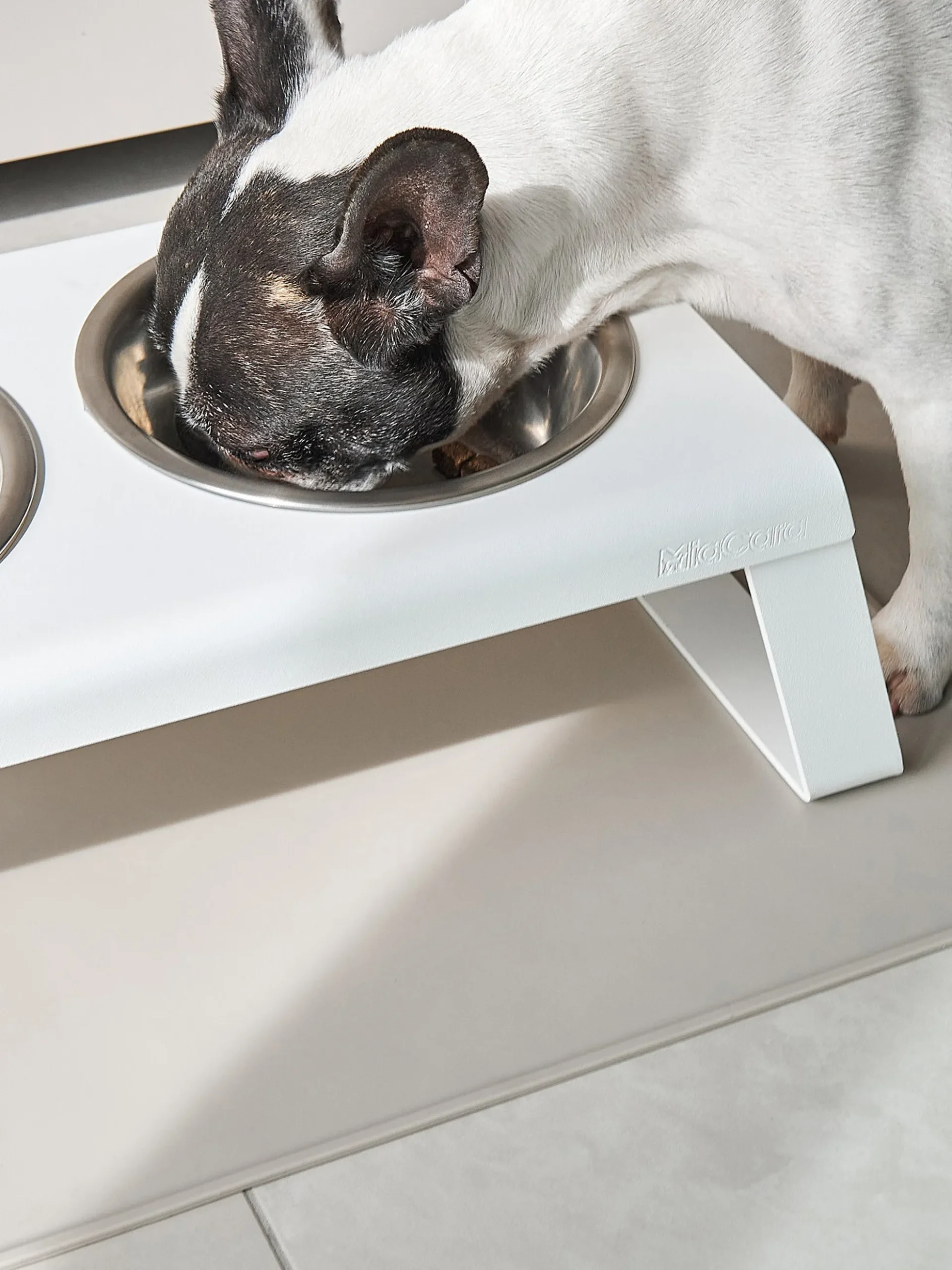 Tappetino per cani Tova, in diverse misure