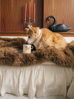 Tazza dipinta a mano Corgi