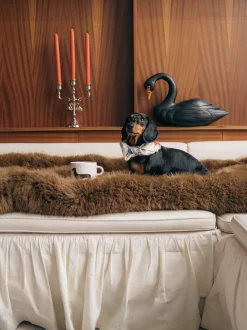 Tazza dipinta a mano Dachshund